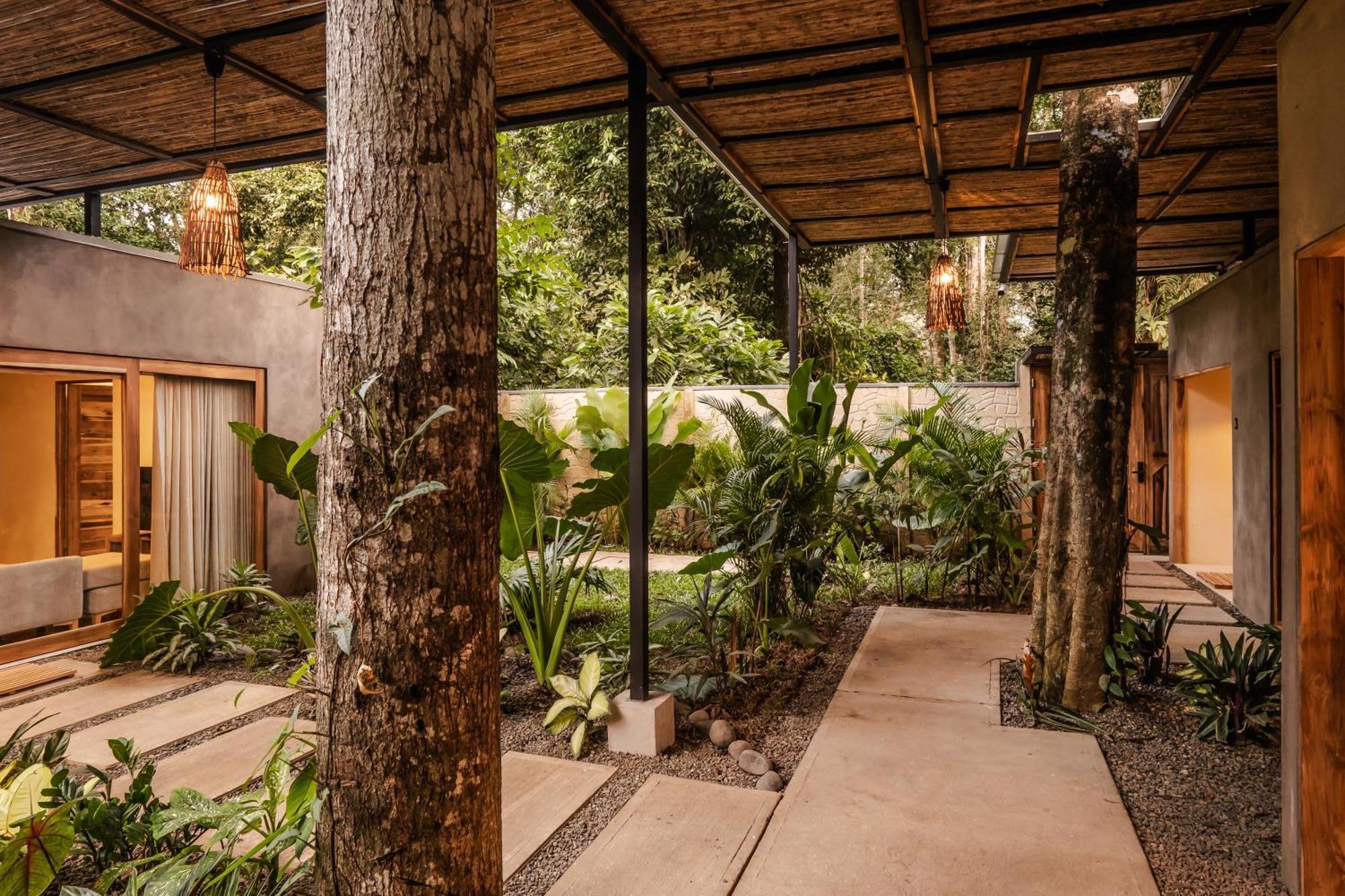 La Bonita Lodge Puerto Viejo de Talamanca Exteriör bild